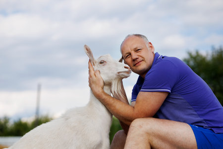 a middle-aged man talks to a white goat face to face and smilesの写真素材