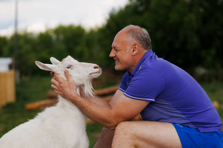 a middle-aged man talks to a white goat face to face and smilesの写真素材