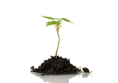 New lifeの写真素材