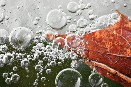 Leaf in the ice with bubbles