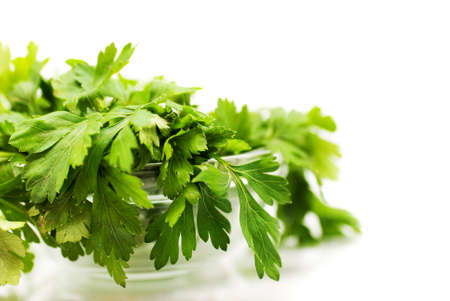 Parsley in glass bowl over whiteの写真素材