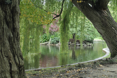 Boston Common park, Massachusettsの写真素材