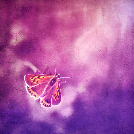 Butterfly on a flower  Abstract background with grunge textures の写真素材