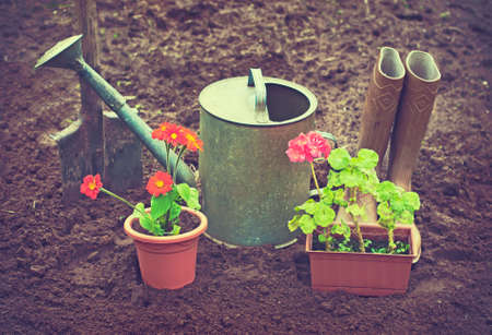 Gardening tools and potted flowers outdoorsの写真素材