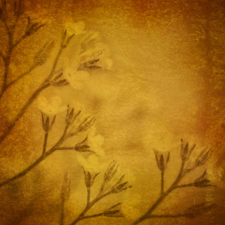 Flowers on old paper  Romantic card in vintage style の写真素材