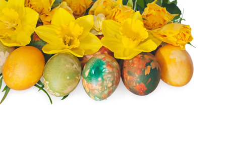 Painted Easter eggs and daffodils on white background
