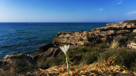 sea ??? ?の写真素材