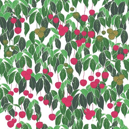 pinkish dogwood fruit green leaf white background designのイラスト素材