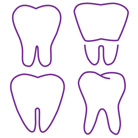Set of the stabilized teeth on a white background.のイラスト素材