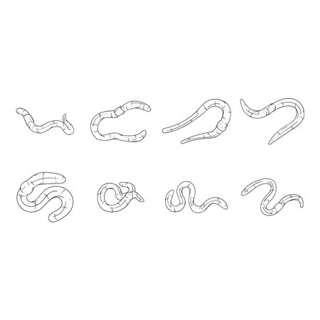 earthworm icon setのイラスト素材