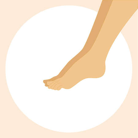 Beautiful female feet. Body care design vector illustrationのイラスト素材
