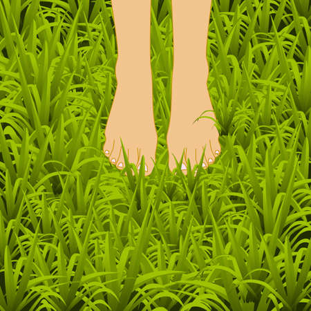 Bare feet in a beautiful green grass. A well-maintained lawn or meadow summer backgroundのイラスト素材