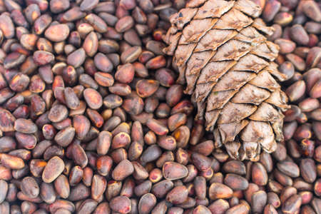Fresh Siberian Cedar Pine Nuts And Bump Background Top Viewの写真素材