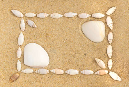 Bright Background with Different Sea Shells and Coral Sandの写真素材