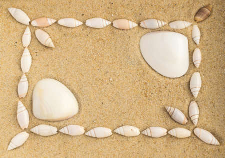 Bright Background with Different Sea Shells and Coral Sandの写真素材