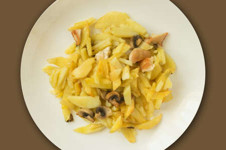 Fried Potatoes with Mushrooms and Chicken on a White Plate. Traditional Daily Meal of Modern Russian Cuisineの写真素材