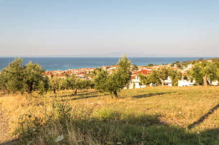 Greek rural landscape with olive groves, white houses, red roofs and blue sea. Halkidikiの写真素材