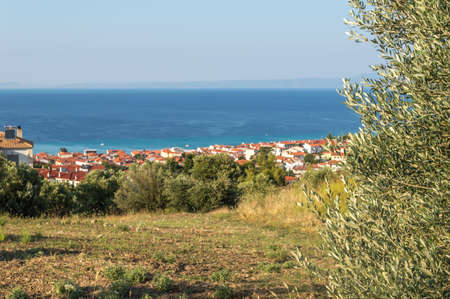 Scenic view from the hill at the white houses with red roofs, olive trees and blue sea. Halkidiki, Greeceの写真素材