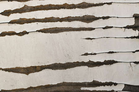 Grunge Background with Old Wooden Painted Wall. Cracks Shabby Textureの写真素材