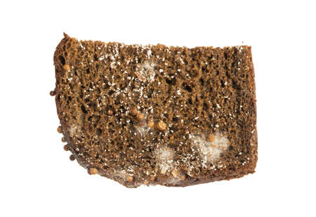 Mold on Black Bread Isolated on White Backgroundの写真素材