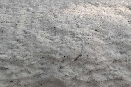 Grey Melted Snow on the Ground in Early Spring. Mud Springtime Textureの写真素材