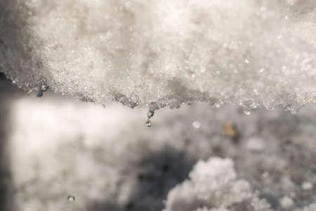 Grey Melted Snow on the Ground in Early Spring. Dripping Springtime Textureの写真素材