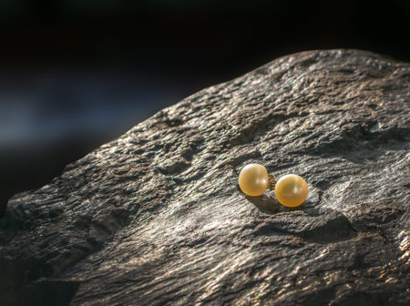 Two Pearl Earrings on a Black Stone with Side Lightingの写真素材