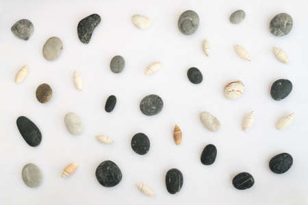 Collection of Seashells and Sea Pebble Stones on White Backgroundの写真素材