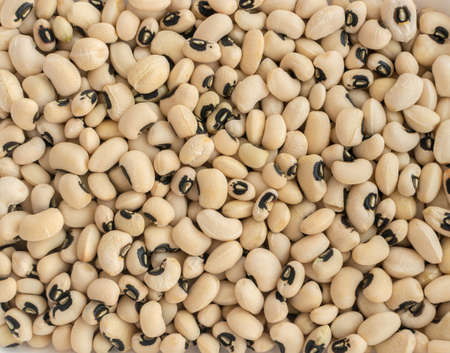 Dry Pinto Beans Backgrpund or Texture Top Viewの写真素材