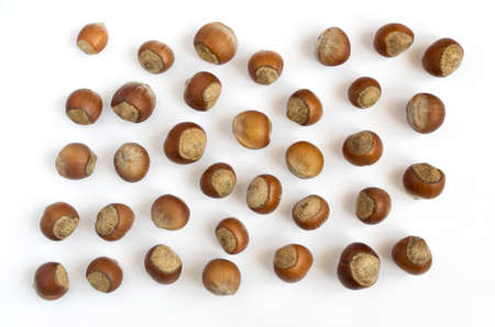 Collection of Hazelnuts in Shell on White Backgroundの写真素材