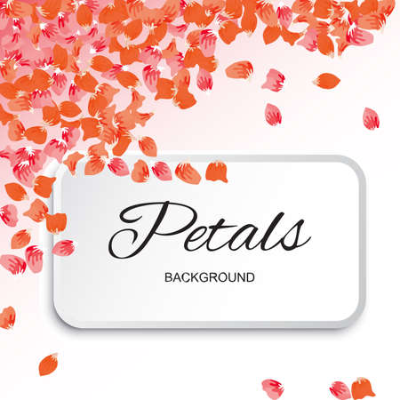 Pink Flying Petals Background. Festive Summer Floral Texture. Vector Illustrationのイラスト素材