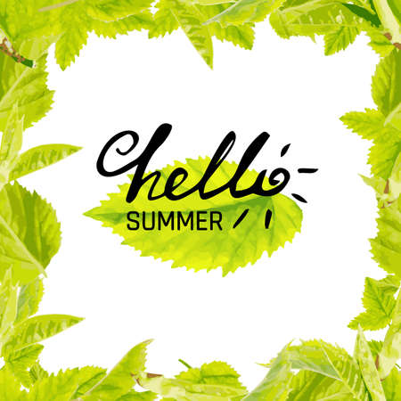 Phrase Hello Summer Vector Illustration. Happy Season Background for Designのイラスト素材