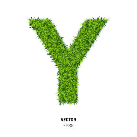 The Letter Y Made of Green Grass Texture. 3d Vector Illustration on White Backgroundのイラスト素材