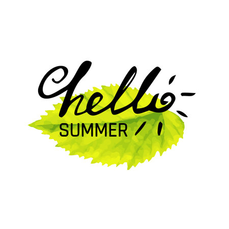Phrase Hello Summer Vector Illustration. Happy Season Background for Design. Summer Lettering in Hand Drawn Styleのイラスト素材