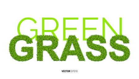 Word GRASS Made of Green Grass Textute. 3d Vector Illustration on White Backgroundのイラスト素材