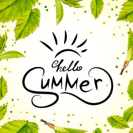 Phrase Hello Summer Vector Illustration. Happy Season Background for Design. Summer Lettering in Hand Drawn Styleのイラスト素材
