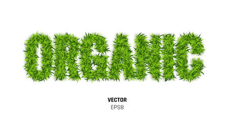 Word Organic Made of Green Grass. Ecological Text on White Background. 3d Vector Illustrationのイラスト素材