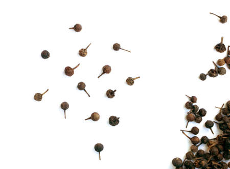 Piperaceae or Piper Cubeba. Cubeb Pepper Isolated on White Backgroundの写真素材