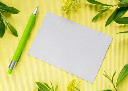 Summer Mocap with Ball Pen and a Clean Paper Surrounded by Leaves and Field Flowers. Summer Background in Green and Yellow Tonesの写真素材