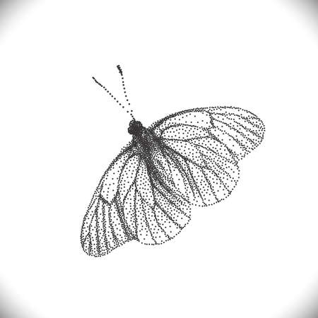 Halftone Aporia Crataegi Beautiful Butterfly Vector Illustrationのイラスト素材