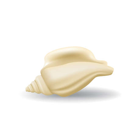 Realistic Seashell Isolated Illustrationのイラスト素材