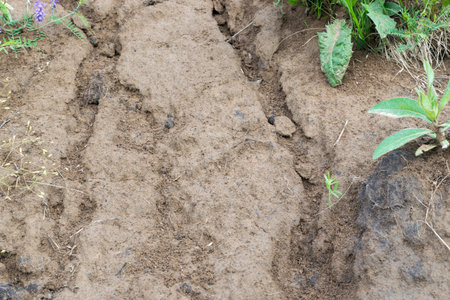 Wet clay soil background. Brown ground texture with traces of water