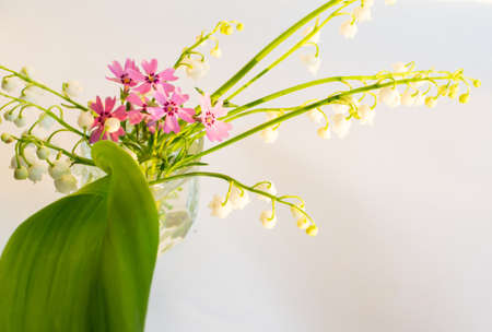Bouquet of Lilies of the Valley on White Backgroundの写真素材