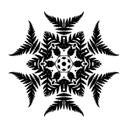 Vector Natural Mandala Made of Fern Silhouetteのイラスト素材