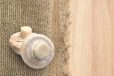 White Whole Champignons on Rustic Background Burlupの写真素材