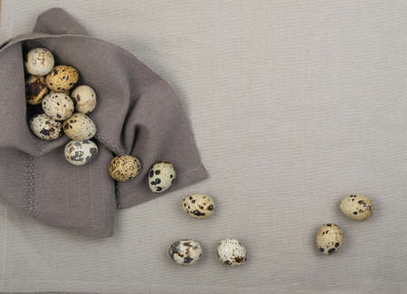 Quail Eggs on Grey Background. Whole Bird Eggs with Place for Textの写真素材