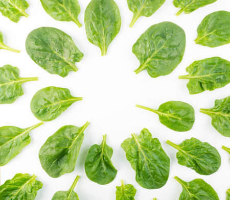 Fresh Baby Spinach Leaves Pattern. Spinacia Oleracea Background. Leafy Green Vegetable Flatlay and...