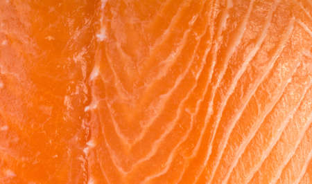 Salmon Fillet Texture Closeup. Fresh Red Fish or Trout Backgriundの写真素材