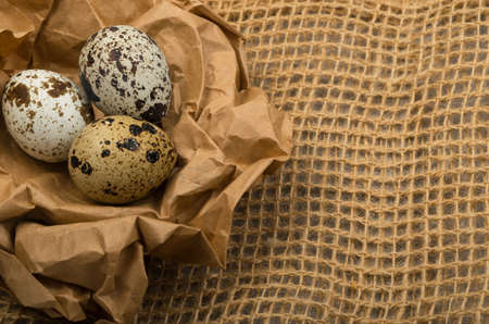 Quail Eggs in Craft Paper Nest and Purlap Background Top View. Whole Bird Eggs with Place for Textの写真素材