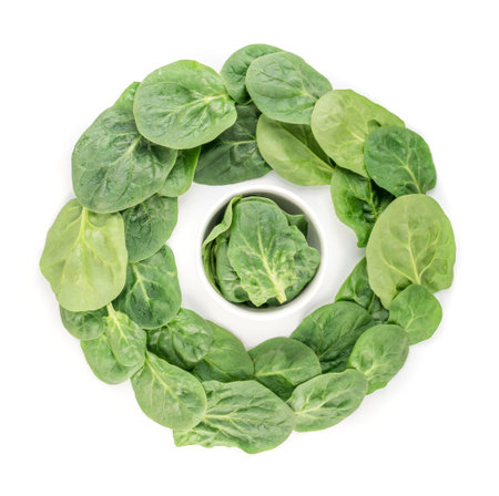 Fresh Baby Spinach Leaves Isolated. Spinacia Oleracea or Leafy Green Vegetable Top Viewの写真素材
